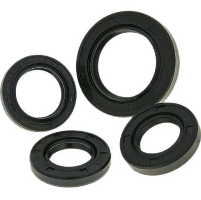 Motor Seal | Motor Oil Seal – Motor Shaft Oil Seal for Leak Protection, Heat & Oil Resistant, Smooth Rotation, Long Service Life, Multiple Sizes